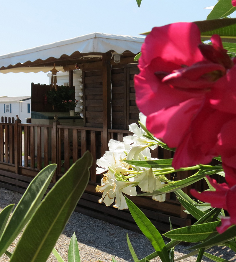 mobil-home camping Cap d'Agde